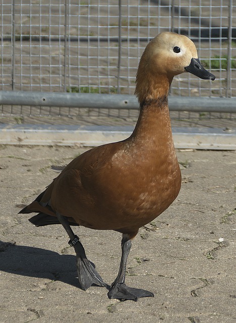 感动