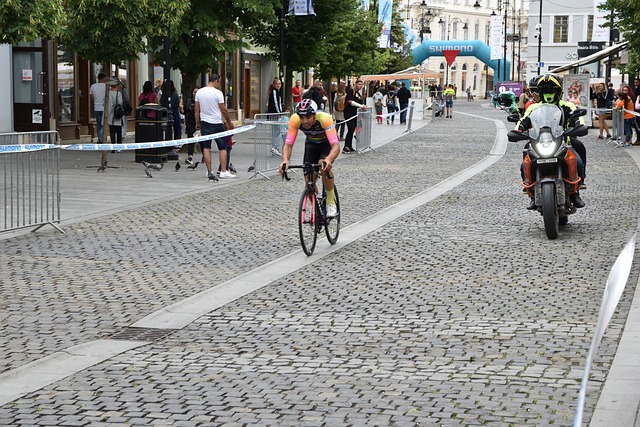 以维持正常 以维持正常