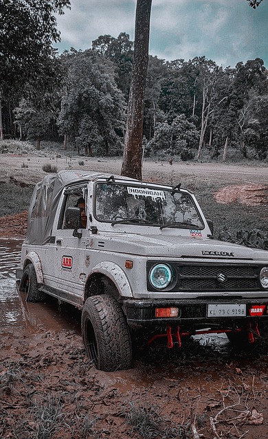 若干球星如 若干球星如