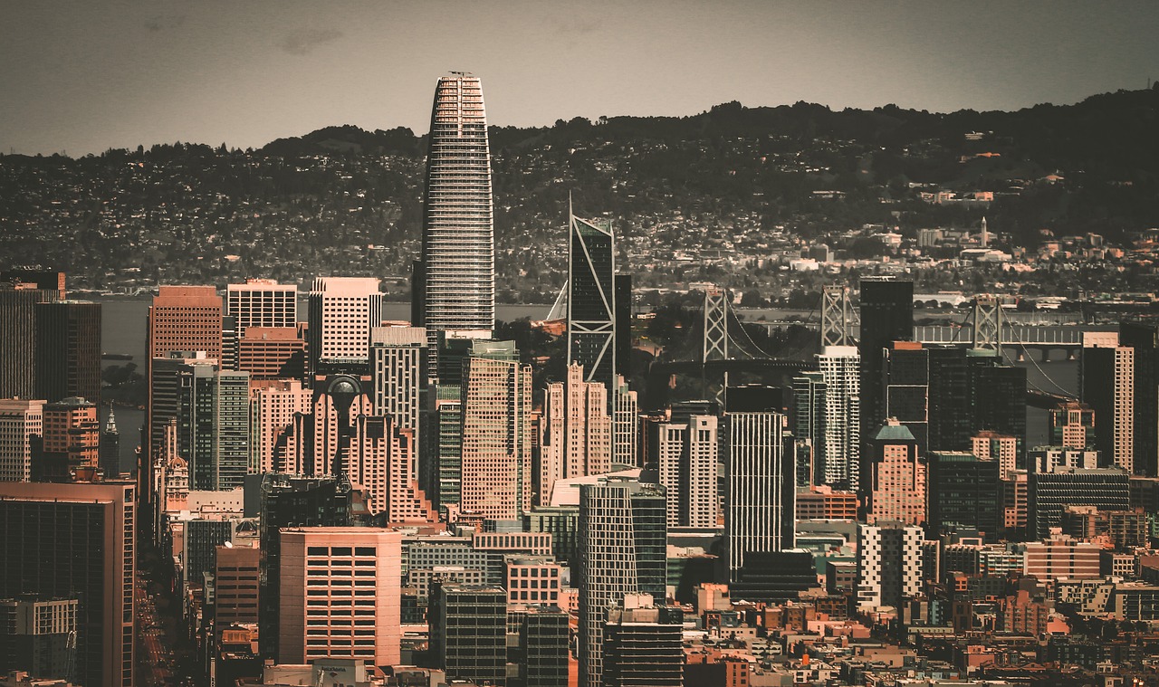 新引入的年 新引入的年