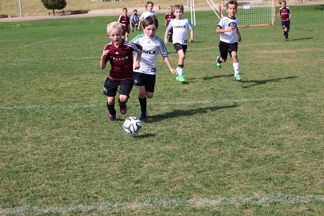 球员的合同 球员的合同