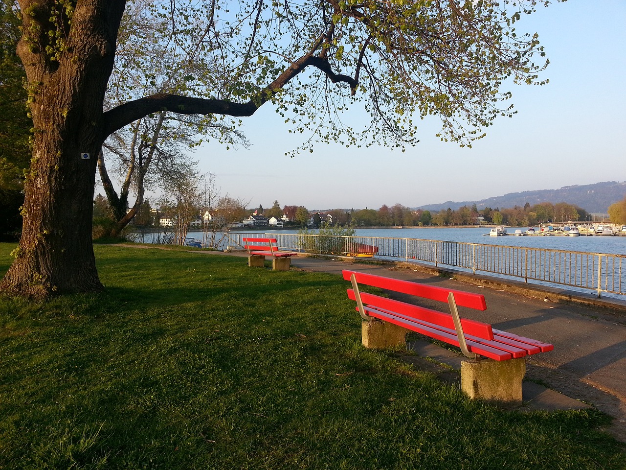 平局多 热度高 新赛季中超亮点多.